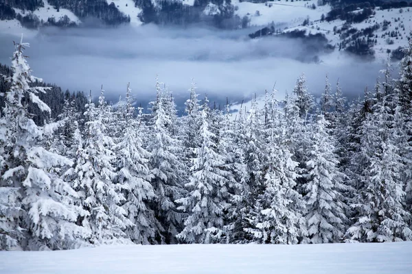 Fundo Natal Ano Novo Com Árvores Inverno Montanhas Cobertas Neve — Fotografia de Stock