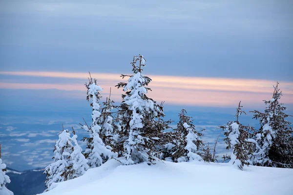 Fondo Navidad Año Nuevo Con Árboles Invierno Montañas Cubiertas Nieve —  Fotos de Stock