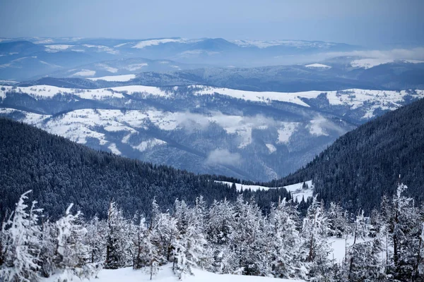 Kerstmis Nieuwjaar Achtergrond Met Winter Bomen Bergen Bedekt Met Verse — Stockfoto