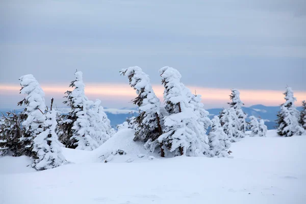 Jul Och Nyår Bakgrund Med Vinter Träd Berg Täckt Nysnö — Stockfoto