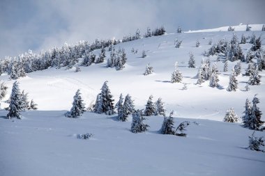 Taze kar - Magic tatil arka plan ile Noel ve yeni yıl arka plan dağlarda kış ağaçları ile kaplı