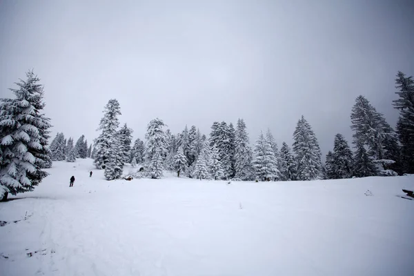 Jul Och Nyår Bakgrund Med Vinter Träd Berg Täckt Nysnö — Stockfoto