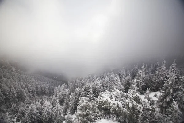 Fondo Navidad Año Nuevo Con Árboles Invierno Montañas Cubiertas Nieve —  Fotos de Stock