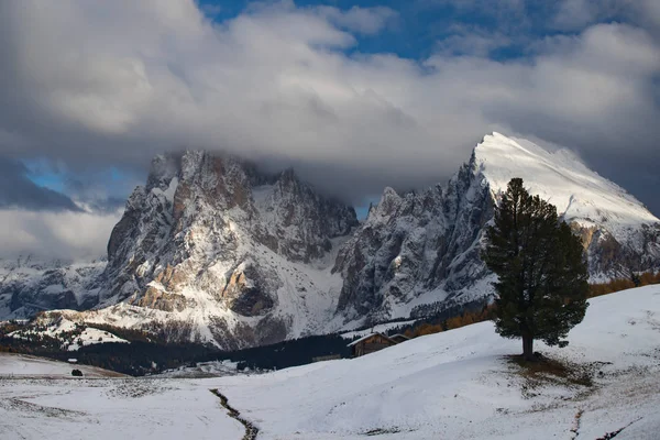 Hermosa Vista Las Montañas Dolomitas Langkofel Plattkofel Sassolungo Sassopiatto Alpe — Foto de Stock