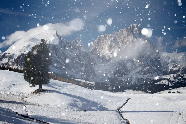 Волшебный Отдых Фоне Падающего Снега Зимних Горах — стоковое фото