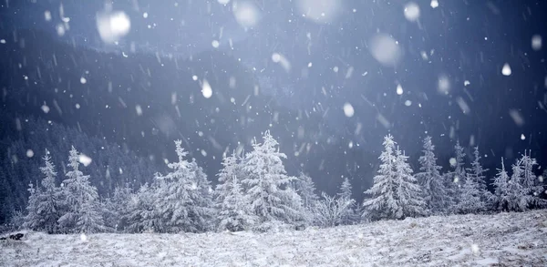Χριστούγεννα Και Νέο Έτος Φόντο Χειμερινά Δέντρα Στα Βουνά Που — Φωτογραφία Αρχείου