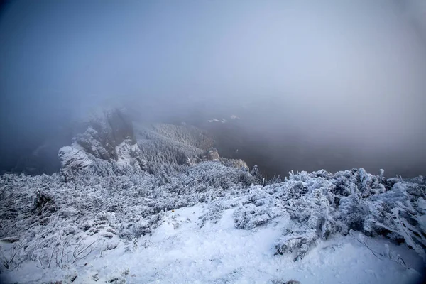 Snowy Jodły Mgle Górach Magiczne Tło Wakacje — Zdjęcie stockowe