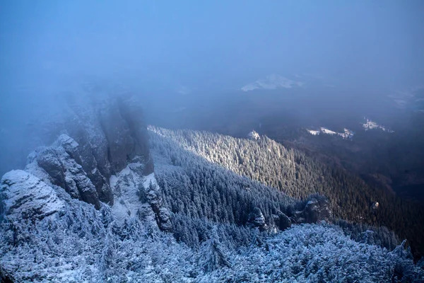 Snowy Jodły Mgle Górach Magiczne Tło Wakacje — Zdjęcie stockowe