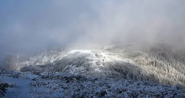 Snöiga Granar Dimma Bergen Magisk Semester Bakgrund — Stockfoto