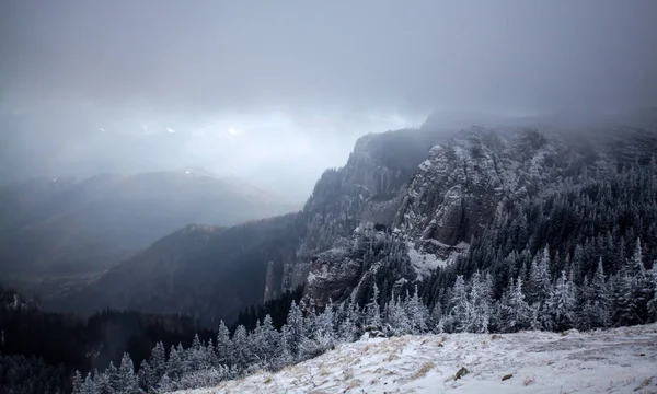 Snöiga Granar Dimma Bergen Magisk Semester Bakgrund — Stockfoto