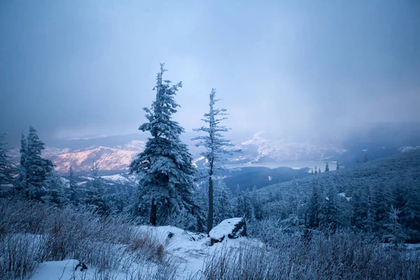 Fondo Navidad Año Nuevo Con Árboles Invierno Montañas Cubiertas Nieve —  Fotos de Stock