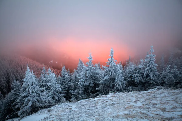 Fantastyczne Świt Zima Krajobraz Dramatyczne Sunrise Mgły Śniegu — Zdjęcie stockowe