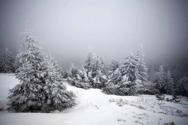 Fondo Navidad Año Nuevo Con Árboles Invierno Montañas Cubiertas Nieve —  Fotos de Stock