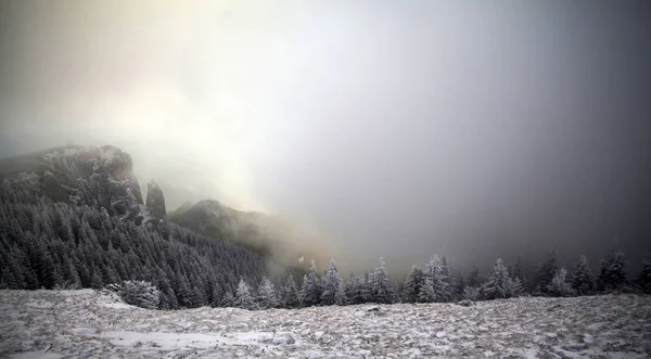 Weihnachten Und Neujahr Hintergrund Mit Winterbäumen Bergen Mit Neuschnee Bedeckt — Stockfoto
