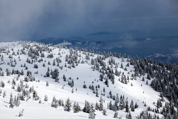 Weihnachten Und Neujahr Hintergrund Mit Winterbäumen Bergen Mit Neuschnee Bedeckt — Stockfoto
