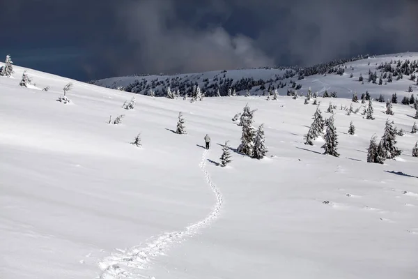 Fond Noël Nouvel Avec Des Arbres Hiver Dans Les Montagnes — Photo