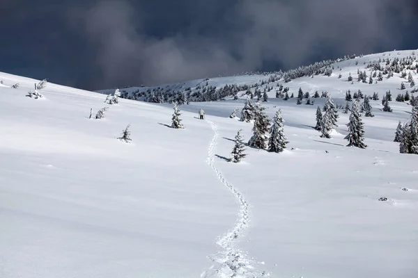 Fond Noël Nouvel Avec Des Arbres Hiver Dans Les Montagnes — Photo