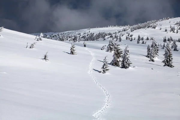 Fond Noël Nouvel Avec Des Arbres Hiver Dans Les Montagnes — Photo