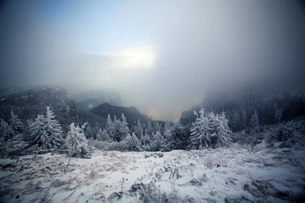 Weihnachten Und Neujahr Hintergrund Mit Winterbäumen Bergen Mit Neuschnee Bedeckt — Stockfoto