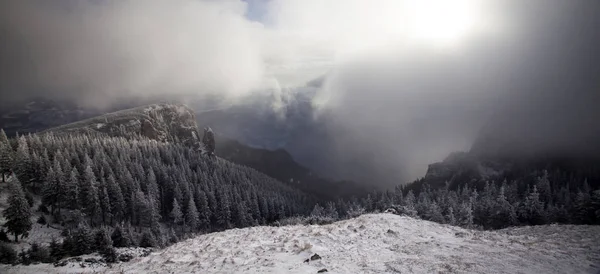 Fondo Navidad Año Nuevo Con Árboles Invierno Montañas Cubiertas Nieve — Foto de Stock