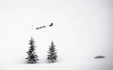 Köpek-halletme huskies karlı dağları ile