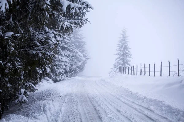 雪山在山里的路 — 图库照片