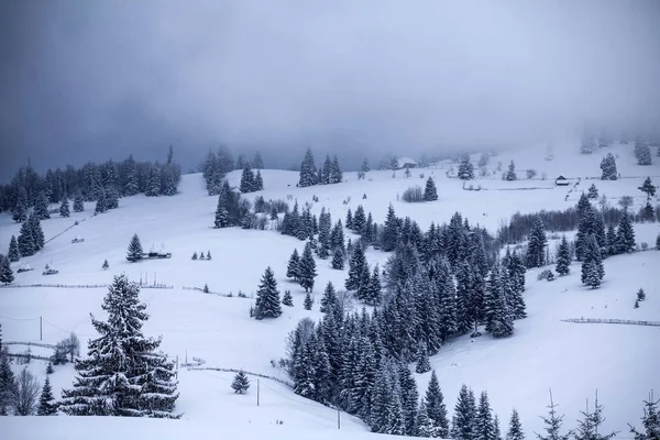 Fondo Navidad Año Nuevo Con Árboles Invierno Montañas Cubiertas Nieve — Foto de Stock