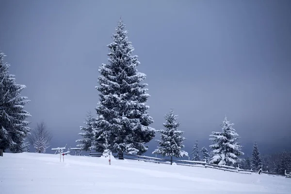 Fondo Navidad Año Nuevo Con Árboles Invierno Montañas Cubiertas Nieve — Foto de Stock