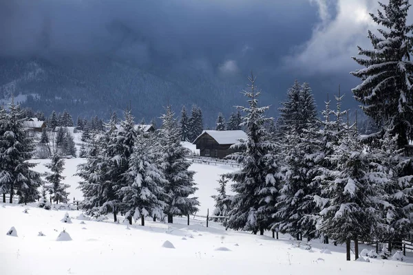 Fairy Winterlandschap Karpaten Sneeuw Overdekte Klein Bergdorpje — Stockfoto