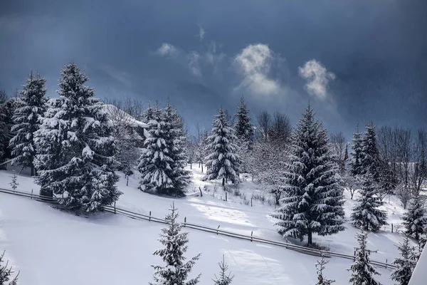 Natale Capodanno Sfondo Con Alberi Invernali Montagne Coperte Neve Fresca — Foto Stock