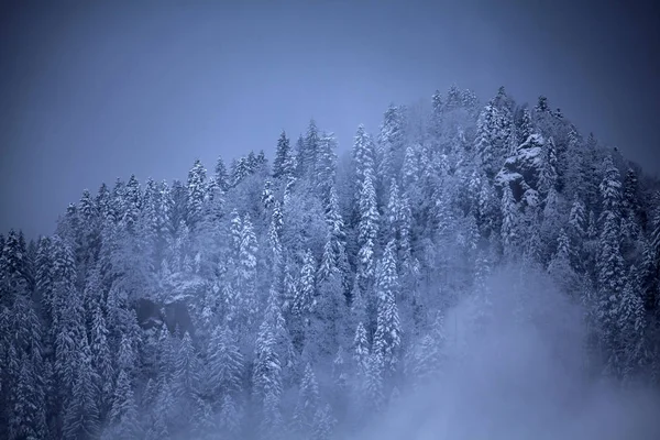 Fondo Navidad Con Árboles Invierno Montañas Cubiertas Nieve Fresca Niebla —  Fotos de Stock