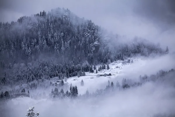 Märchenhafte Winterlandschaft Den Karpaten Verschneites Kleines Bergdorf — Stockfoto