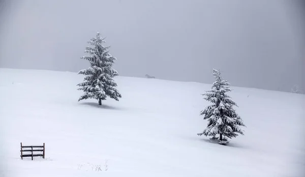 Weihnachten Und Neujahr Hintergrund Mit Winterbäumen Bergen Mit Neuschnee Bedeckt — Stockfoto