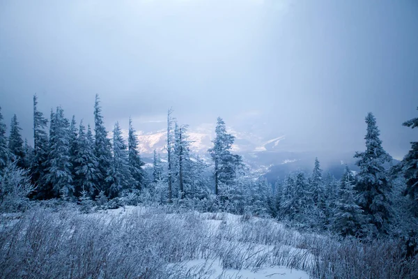 Natale Capodanno Sfondo Con Alberi Invernali Montagne Coperte Neve Fresca — Foto Stock