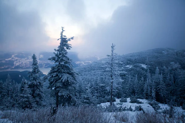 Jul Och Nyår Bakgrund Med Vinter Träd Berg Täckt Nysnö — Stockfoto