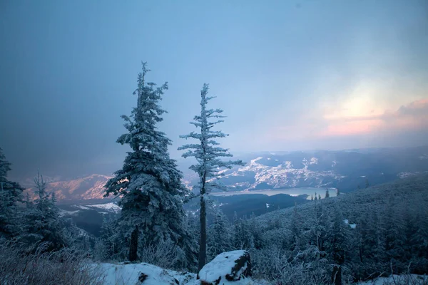 Fondo Navidad Año Nuevo Con Árboles Invierno Montañas Cubiertas Nieve — Foto de Stock