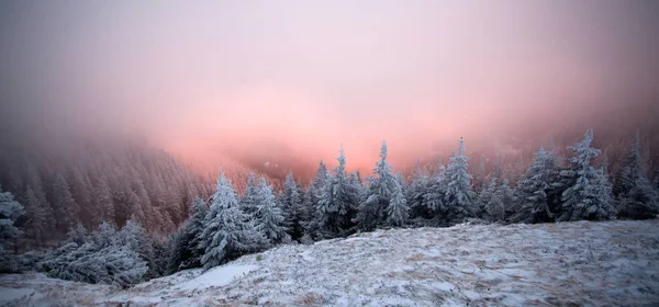 Fantastic dawn winter landscape with dramatic sunrise, fog and snow