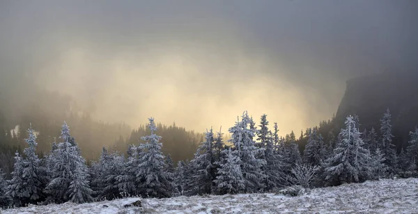 Jul Och Nyår Bakgrund Med Vinter Träd Berg Täckt Nysnö — Stockfoto