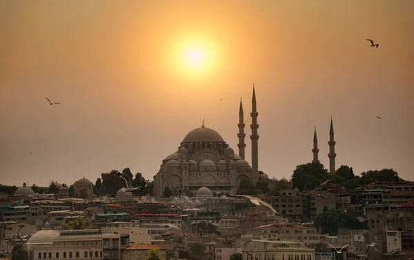 Istanbul the capital of Turkey, eastern tourist city. — Stock Photo, Image