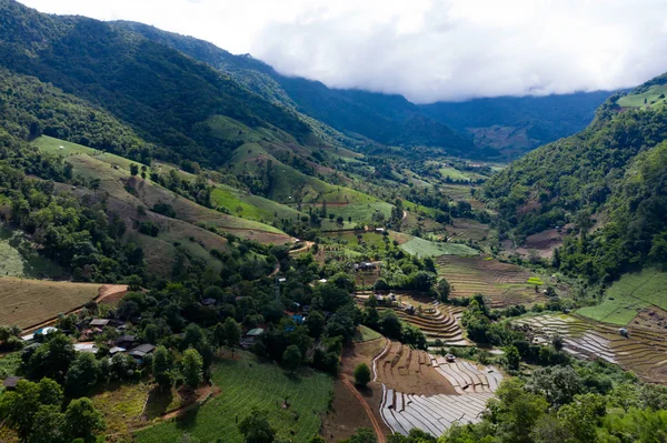 Terraced rice paddy field in Chiang Mai, Thailand. — Stock Photo, Image