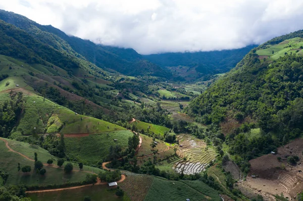 Terraced rice paddy field in Chiang Mai, Thailand. — Stock Photo, Image