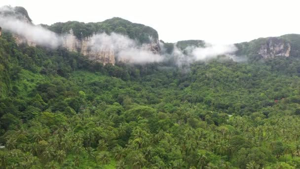 Voando Sobre Floresta Tropical Com Névoa Krabi Tailândia — Vídeo de Stock