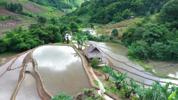 Vliegen Prachtige Terrasvormige Rijstvelden Doi Inthanon National Park Thailand — Stockvideo