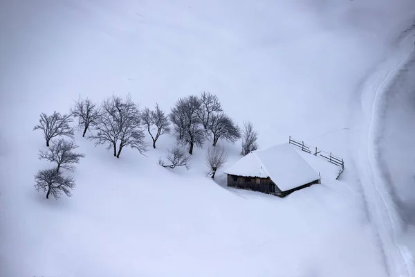 Paisaje invierno —  Fotos de Stock