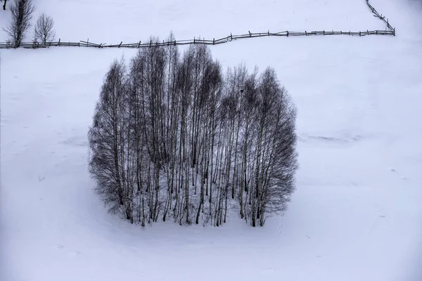 Winterlandschaft — Stockfoto