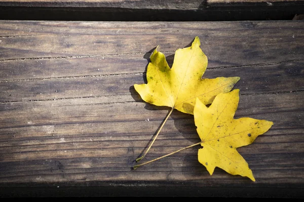 Jesienny liść na drewnianym czarnym tle (widok z góry) — Zdjęcie stockowe