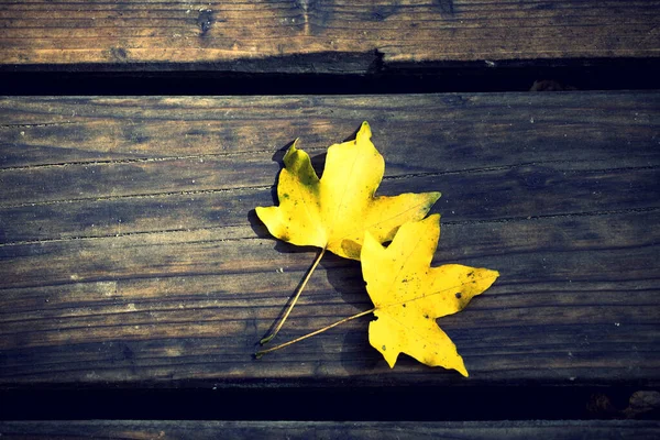 Autumn leaf on wood black background (top view) — Stock Photo, Image