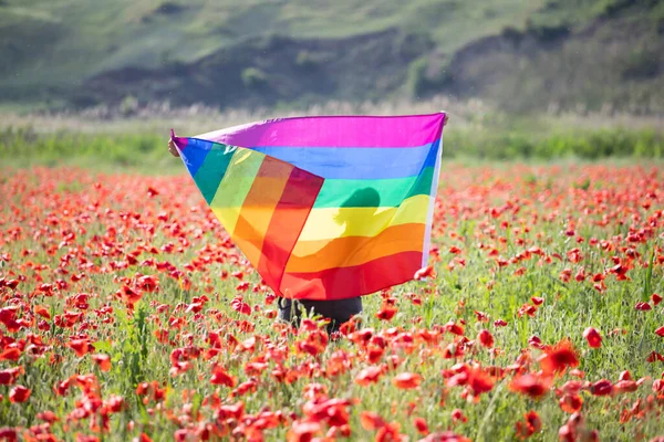 Kobieta Trzymająca Flagę Geja Nad Polem Maku Biseksualny Gejowski Lesbijski — Zdjęcie stockowe