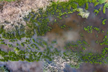 İnsansız hava aracından bataklık manzarası. Bataklık manzarası.