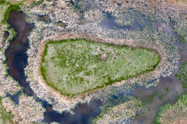 Swamp view from drone. Swampy landscape. clipart